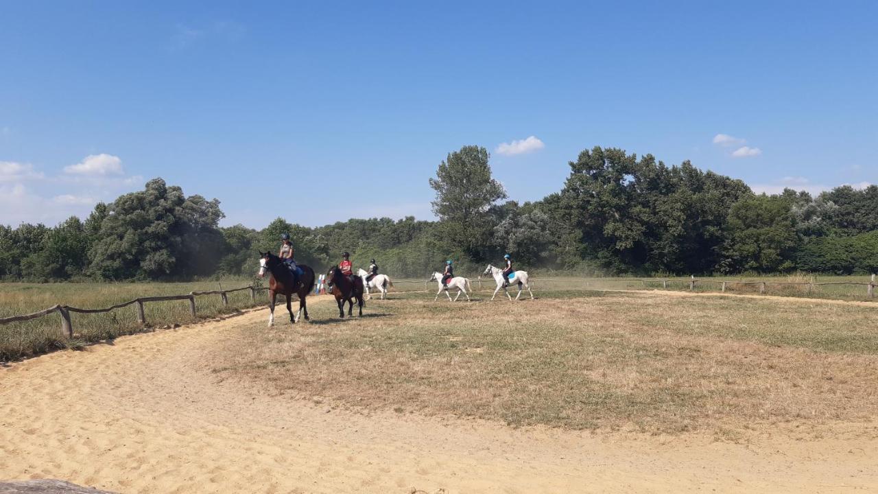 Balatongyörök Szalakota Haz 빌라 외부 사진
